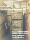 Услуги переводчика в Китае/ Гуанчжоу