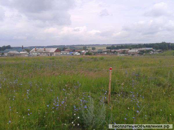 Участок 12 соток