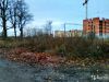 Земля в Зеленоградске