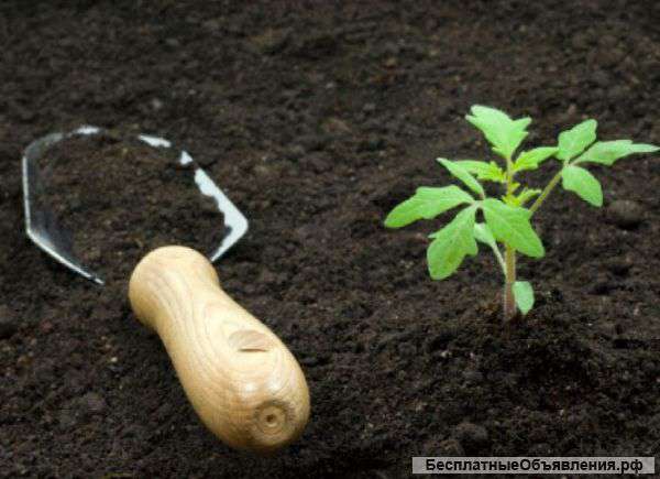 Плодородный чернозем