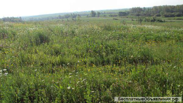 Земля сельхозназначения