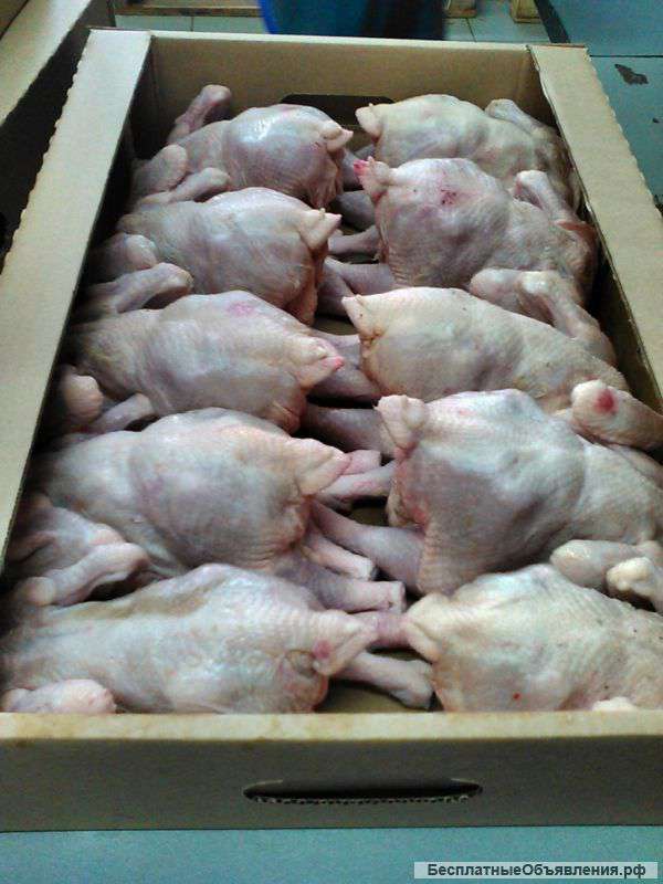 Тушка ЦБ 0,6-1,0 кг