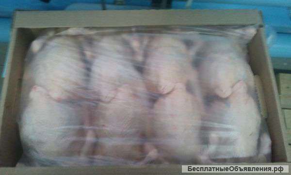 Тушка ЦБ 1,4-2,0 кг