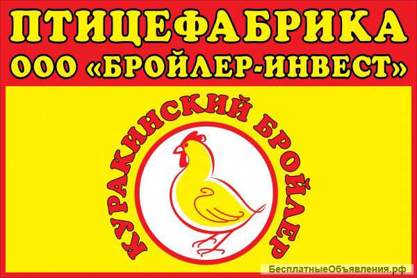 Шеи куриные