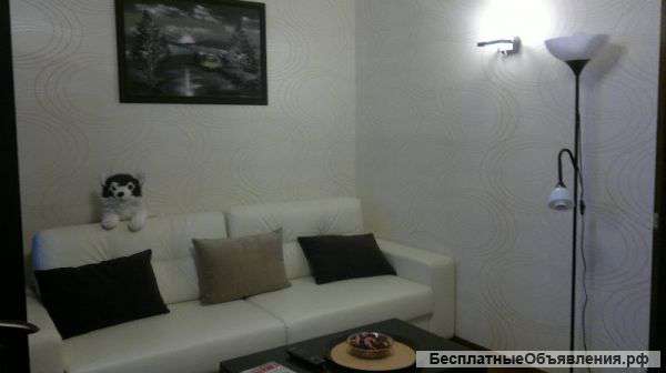 Сдаю 1к.кв. элитного класса в центре города