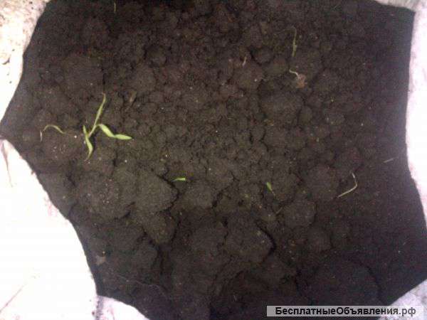 Настоящий Орловский чернозем в мешках