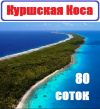 Участок на Куршской косе, Море, сосны, залив, солнце, песок