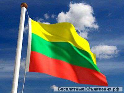 Визы и утд через Литву