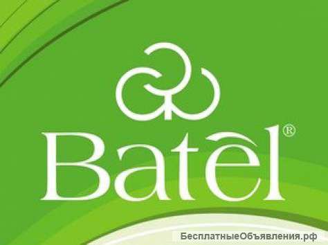 Работа в компании Batel