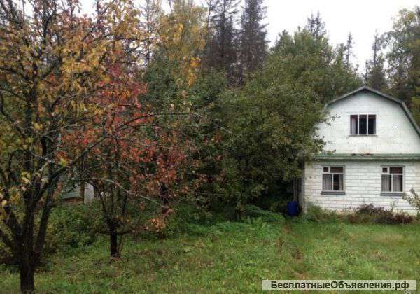 Дачу 35 км Новорижского шоссе
