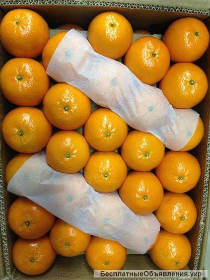 Фрукты, овощи Испания