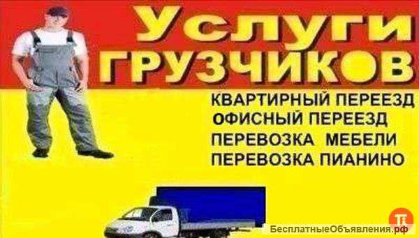 Грузоперевозки