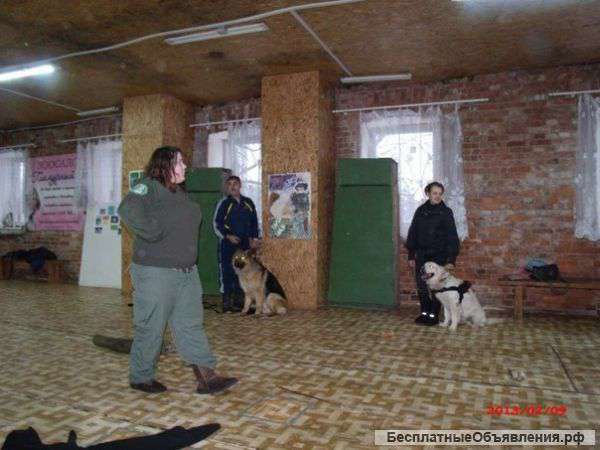 Охранные услуги
