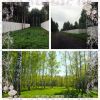 Лесной участок 10 соток по Ярославскому шоссе