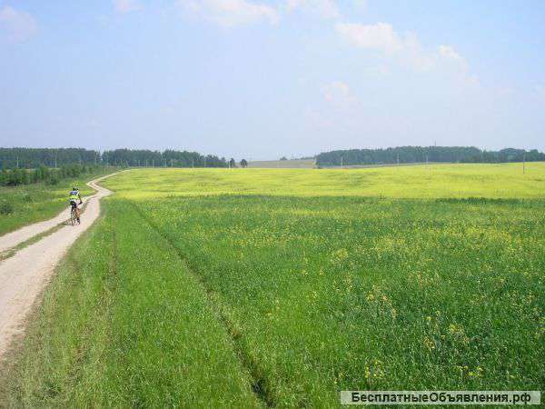 Участок 30 га в Ленинском р-не МО 5 км от МКАД