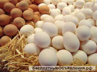 Меланж
