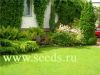 Семена газонных трав, семена травы для газона