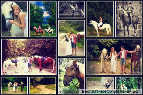 Подарочная карта на конные прогулки, уроки верховой езды, фотосессии с участием лошадей в Ростове