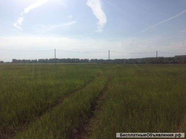 Земельные участки в с. Бессоновка. от 10 сот до 1 га