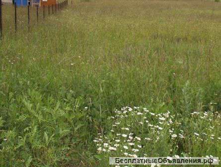 Земельный участок 10 соток в д. Загорье, Солнечногорского района