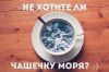 Подбор и бронирование туров, продажа авиабилетов