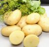 Картофель деревенский