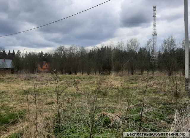 Участок 15 соток в д. Новокурово. Рядом лес, водохранилище