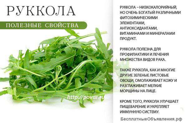 Рукколу оптом