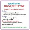 Удаленная работа