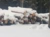 Кругляк бревна деловой