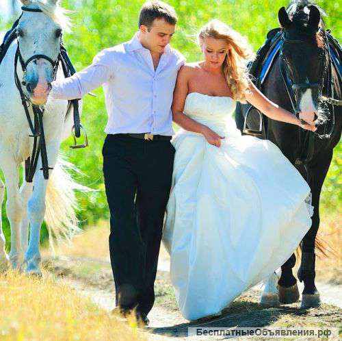 Свадебная, семейная, индивидуальная фотосессия с участием лошадей в Ростове