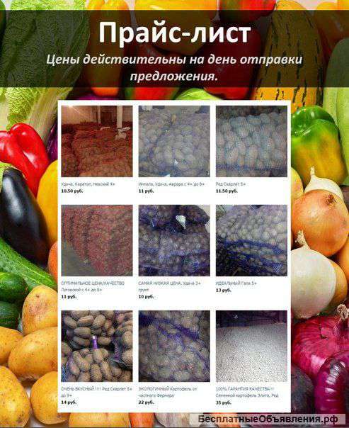 Отличный картофель оптом от производителя