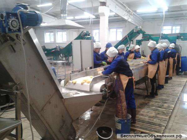 Ноу хау для картофеля