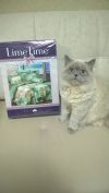 Постельное белье Leme Time