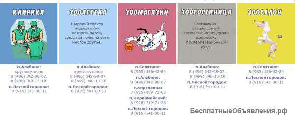 УшиХвост- услуги для животных