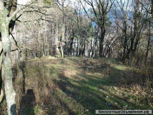 Участок в Ялте 15 сот (Магоби)