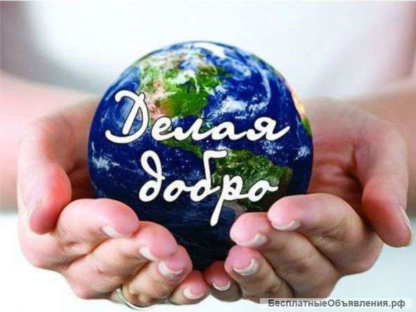 Добрые дела