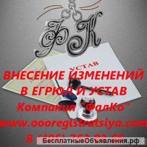 Внесение изменений в ЕГРЮЛ и Устав
