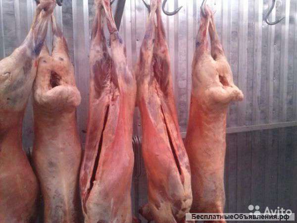 Парное мясо деревенское (Эко продукт)
