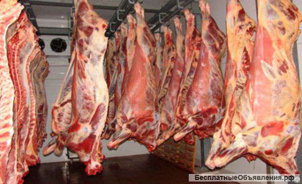 Мясо с бесплатной доставкой по всей России