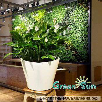 Кашпо с автополивом Green Sun