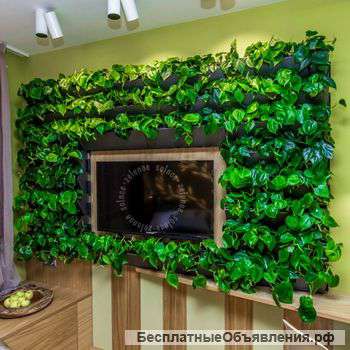 Вертикальные сады и фитомодули HydroFalls