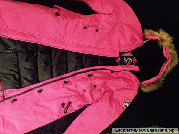 Canada Goose