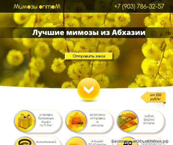 Создание сайта - dlPRo (оптимизация, продвижение)