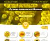 Создание сайта - dlPRo (оптимизация, продвижение)