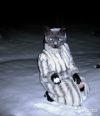 Норковая шуба крестовка