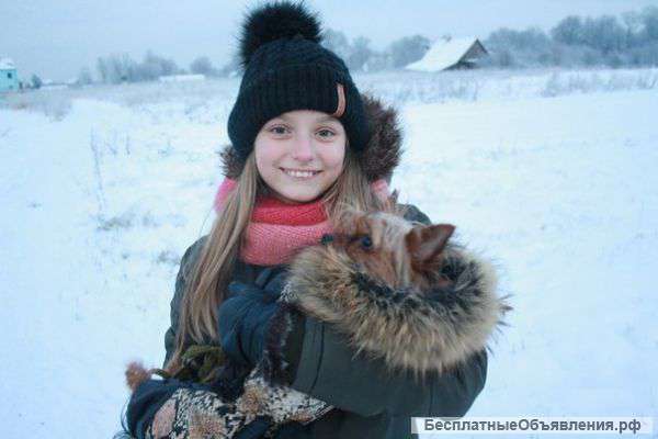 Курсы для детей "Юный кинолог" в московском районе