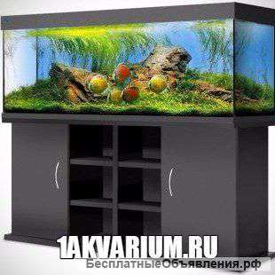 Интернет-Магазин "Первый Аквариум"