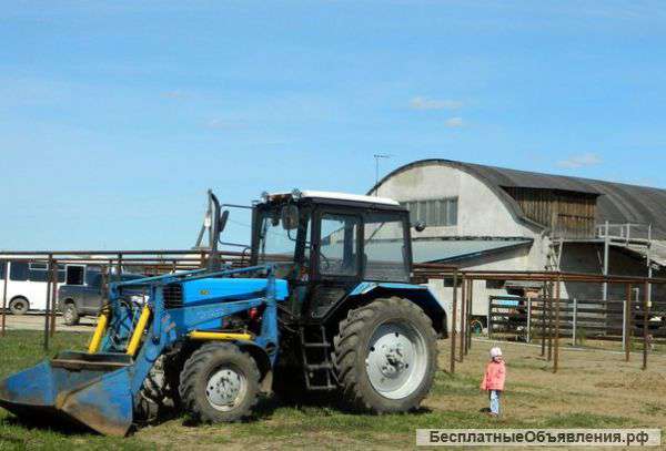 Ферма в черте города