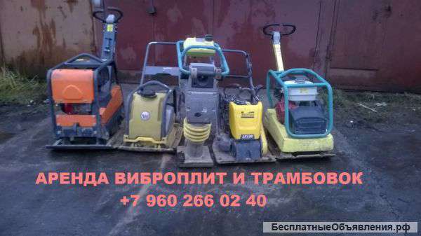 Вибротрамбовки в аренду в СПб